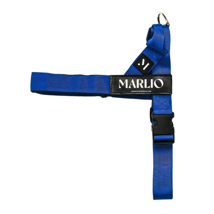 Royal Blue Dog Harness and Leash Bundle