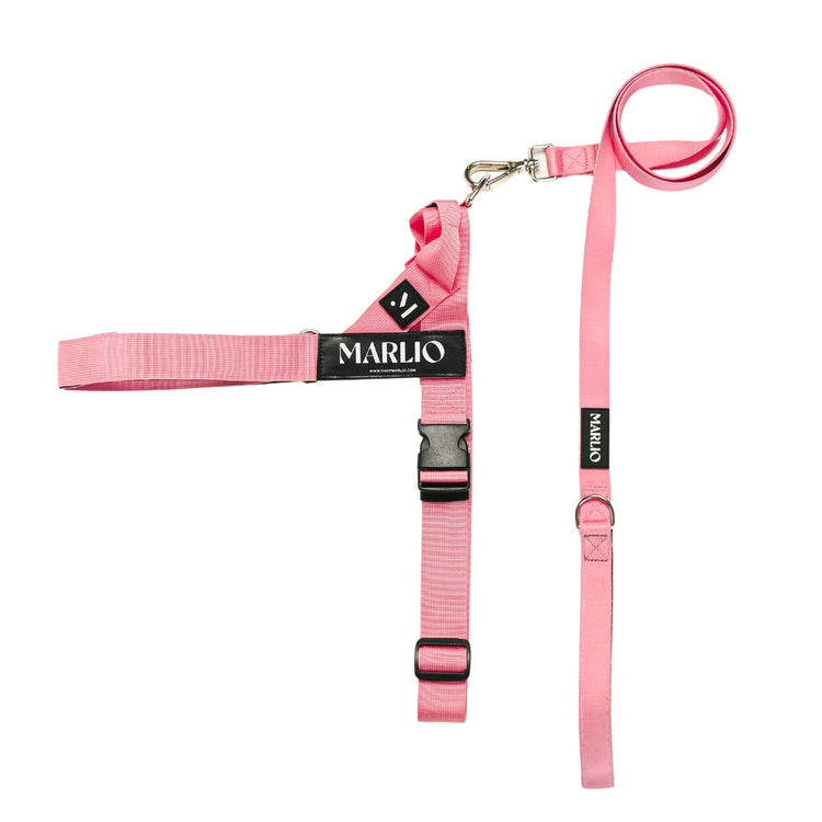 Pink Dog Harness and Leash Bundle