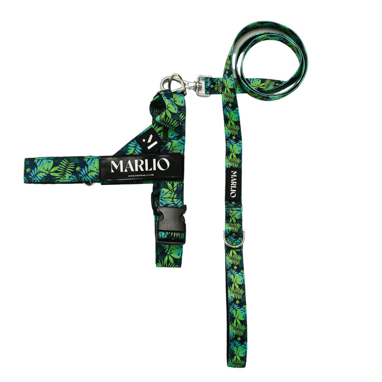Tropical Print Dog Harness and Leash Bundle
