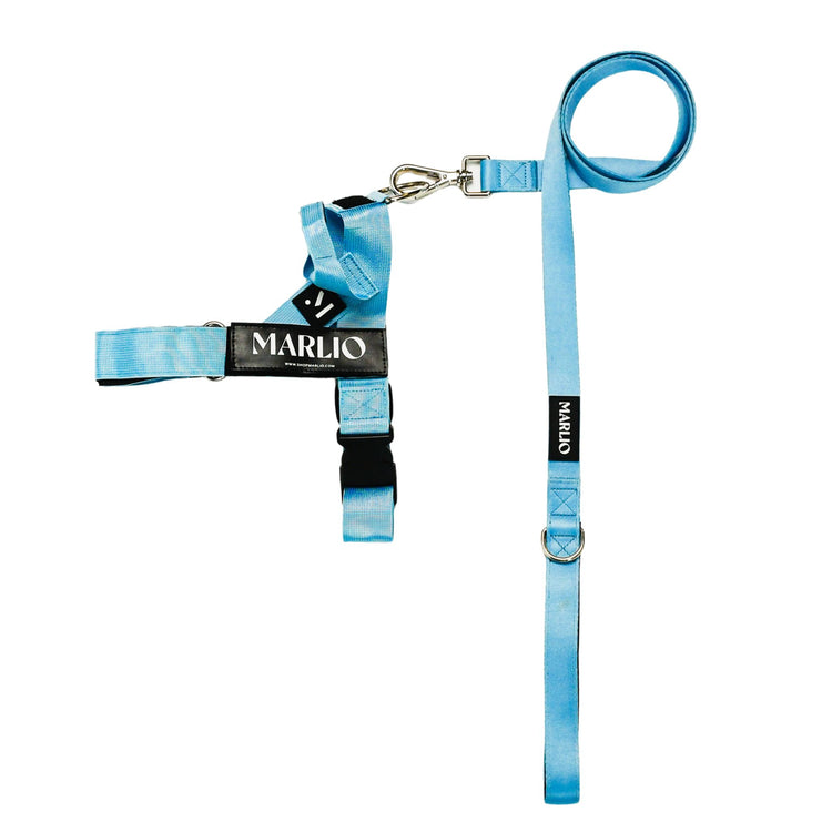 Sky Blue Dog Harness and Leash Bundle