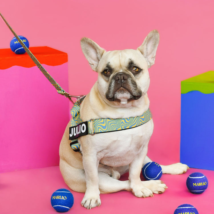 Adjustable Dog Harness - Trippy Vibes