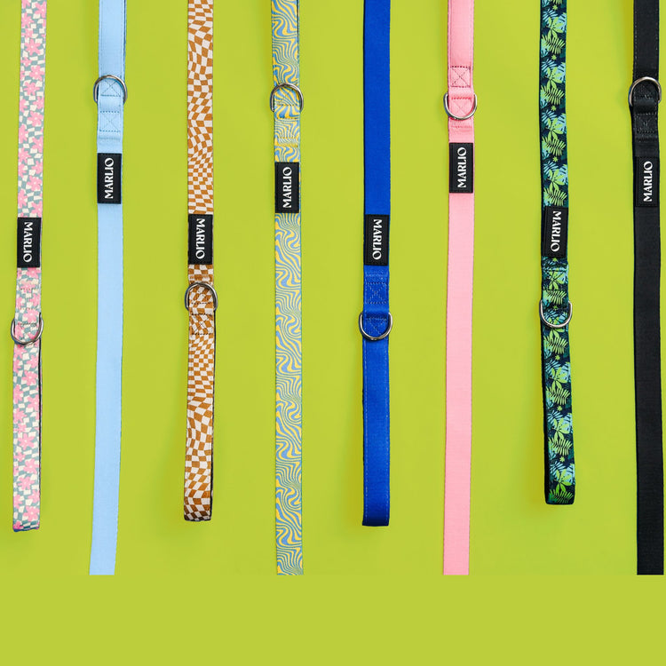 Dog Leash - Groovy Floral