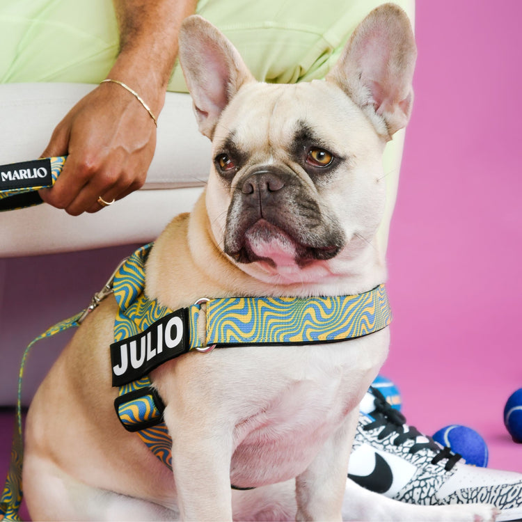 Adjustable Dog Harness - Trippy Vibes