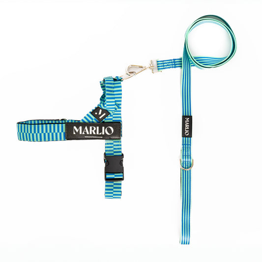 Cool Stripe Dog Harness and Leash Bundle