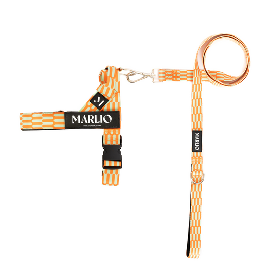 Funky Wave Dog Harness and Leash Bundle
