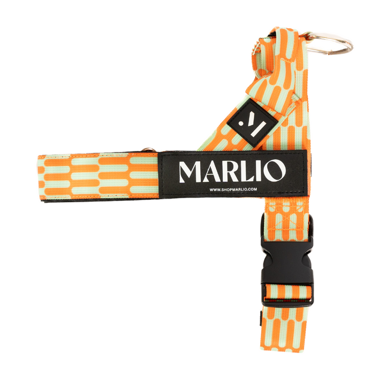 Adjustable Dog Harness - Funky Wave