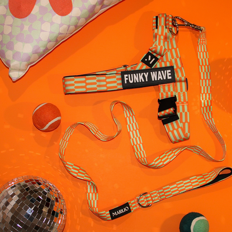 Funky Wave Dog Harness and Leash Bundle
