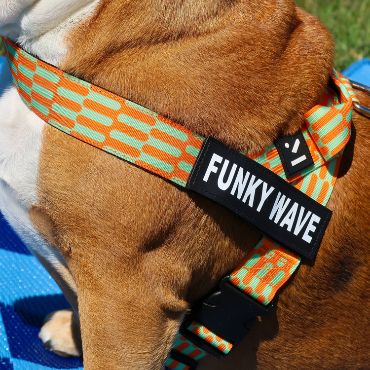 Funky Wave Dog Harness and Leash Bundle