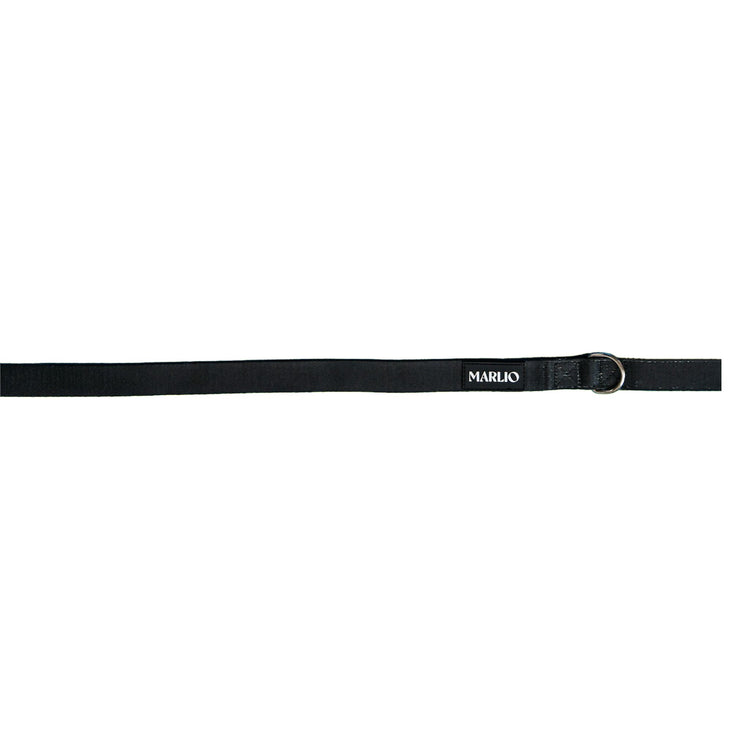 black dog leash as part of a bundle