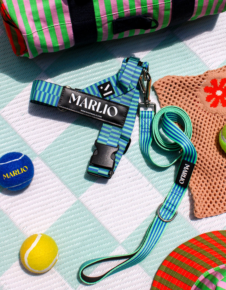 Adjustable Dog Harness - Cool Stripe