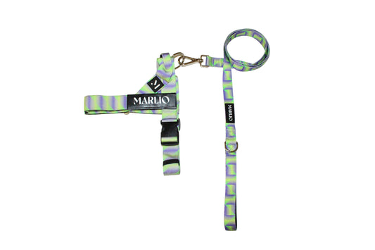 Y2K Dog Harness and Leash Bundle