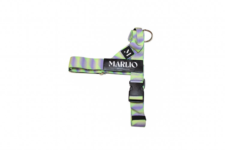 Y2K Dog Harness and Leash Bundle