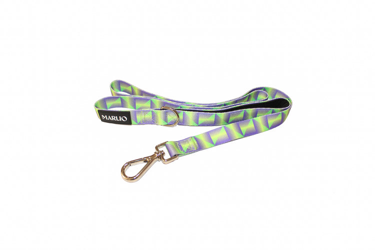 Y2K Dog Harness and Leash Bundle