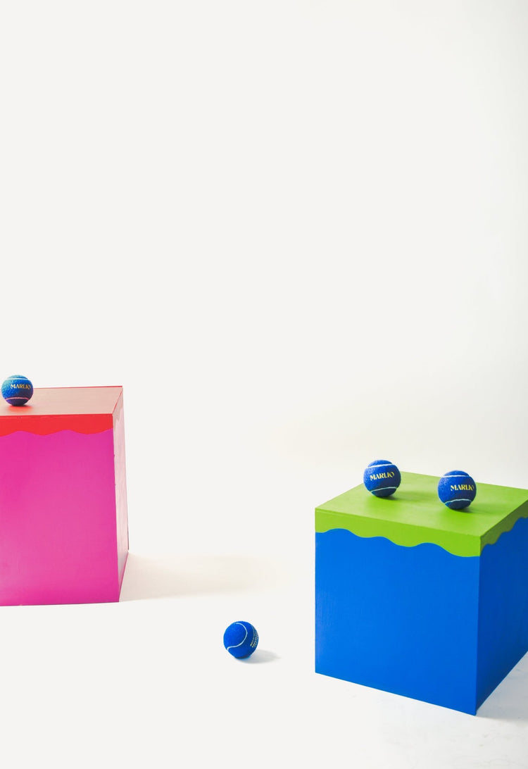 Marlio Dog Gift Box - Marlio