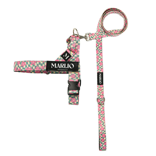 Groovy Floral Dog Harness and Leash Bundle