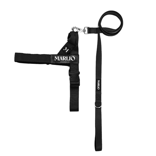 black dog harness and leash bundle