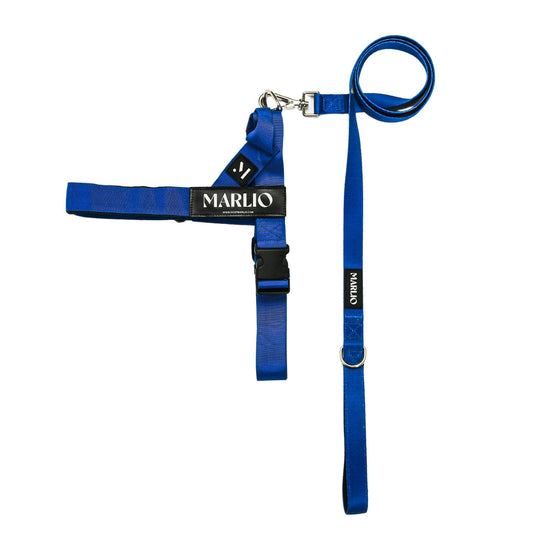 royal blue adjustable dog harness and leash bundle