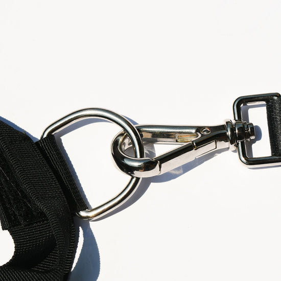 D handle for easy secure connection between harness and leash