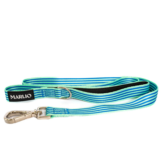 Dog Leash - Cool Stripe