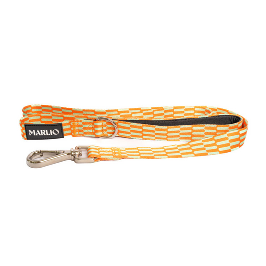 Dog Leash - Funky Wave