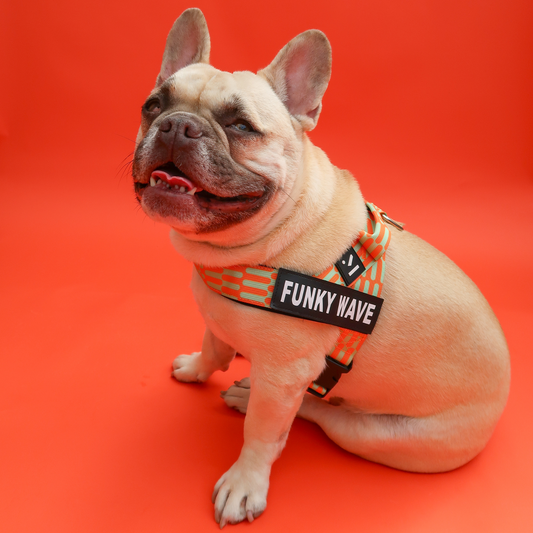 Adjustable Dog Harness - Funky Wave