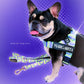 Y2K Dog Harness and Leash Bundle