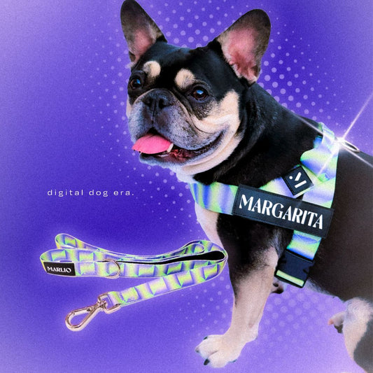 Adjustable Dog Harness - Y2K